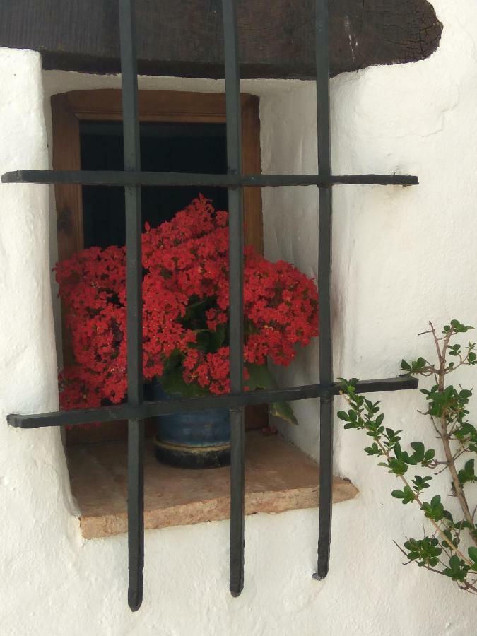 בית הארחה ויאלונגה דל רוסאריו 	Conjunto Rural Casa Victoria מראה חיצוני תמונה